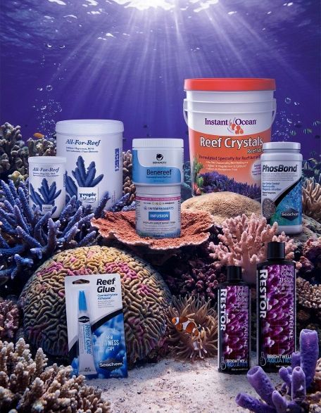 PRODUCTOS