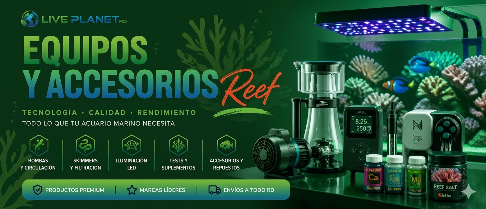 EQUIPOS Y ACCESORIOS