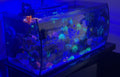 PECERA / FLUVAL FELX 32.5 gl  ( USADO)