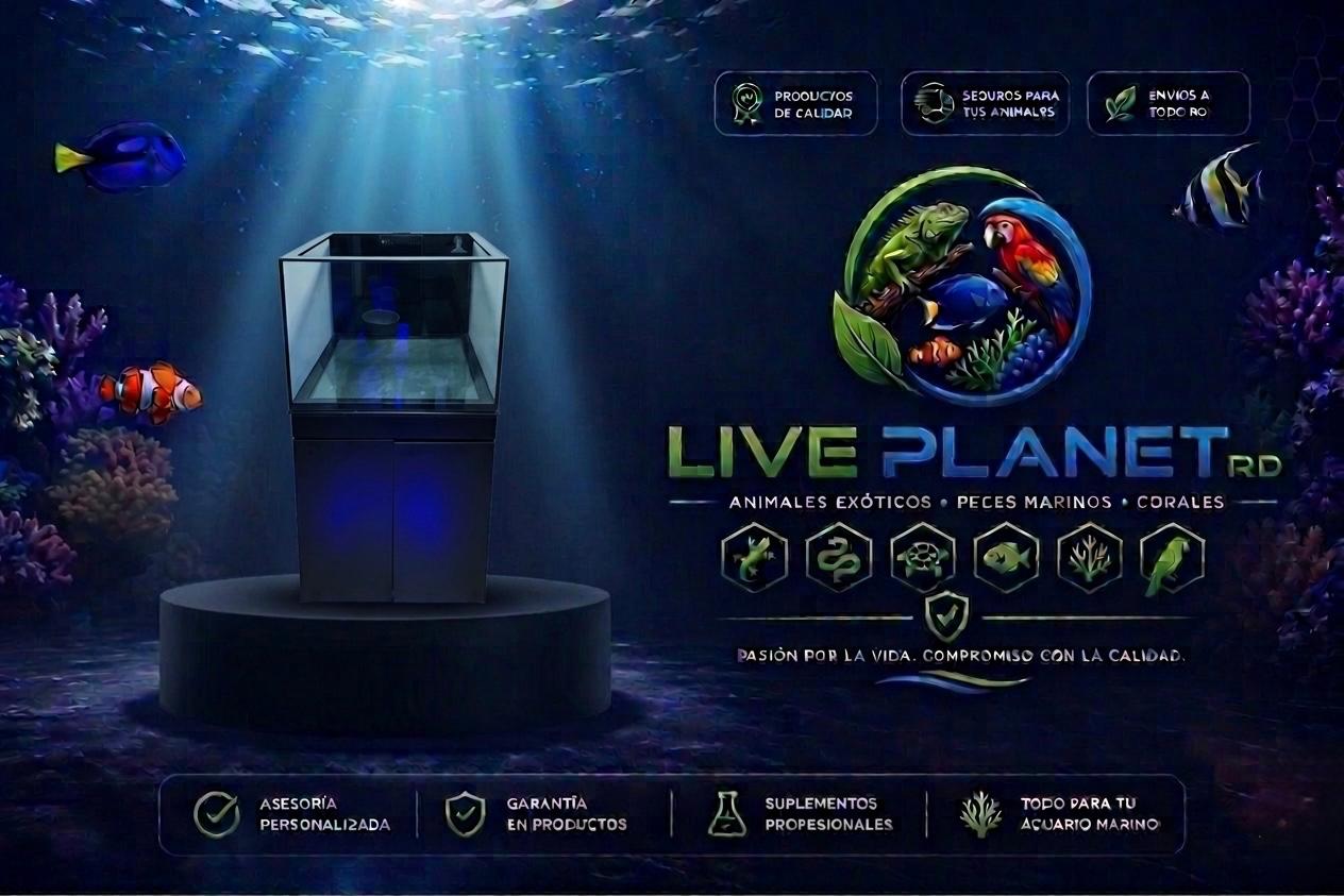 Acuario Tipo Cubo 90 gl