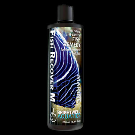 Fish Recover M / Brightwell Aquatics