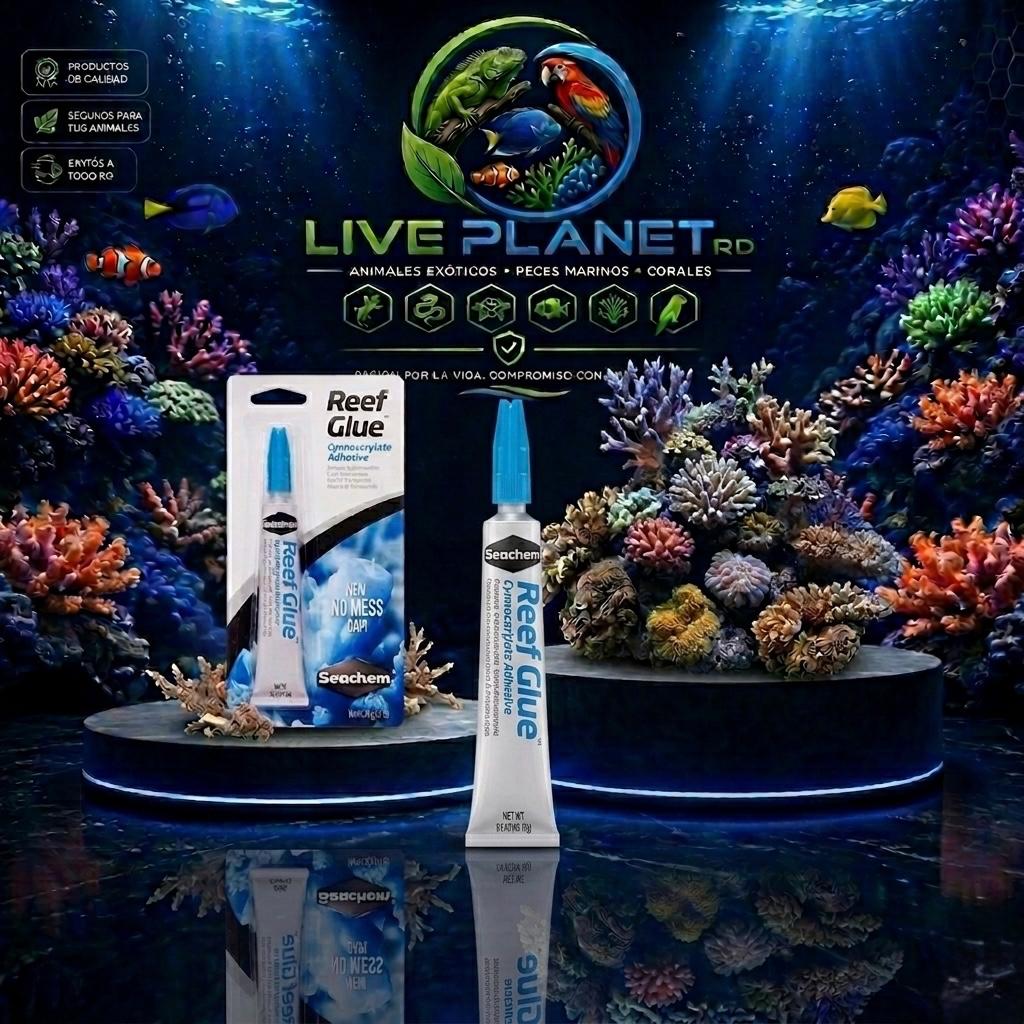 Seachem Reef Glue