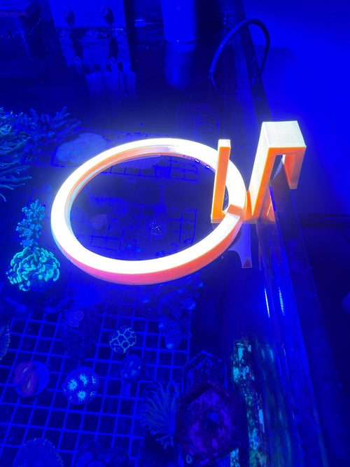 Comedero Fluorescente