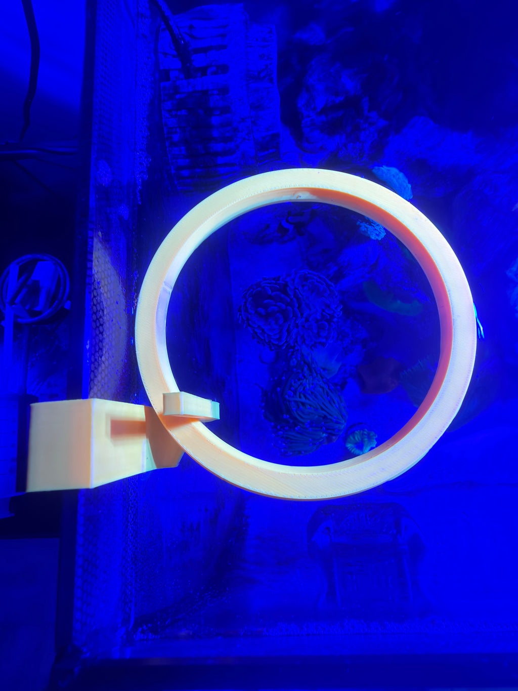 Comedero Fluorescente