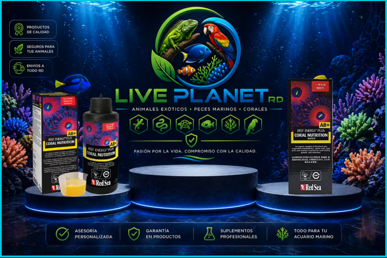 Energy Plus - Red Sea Reef