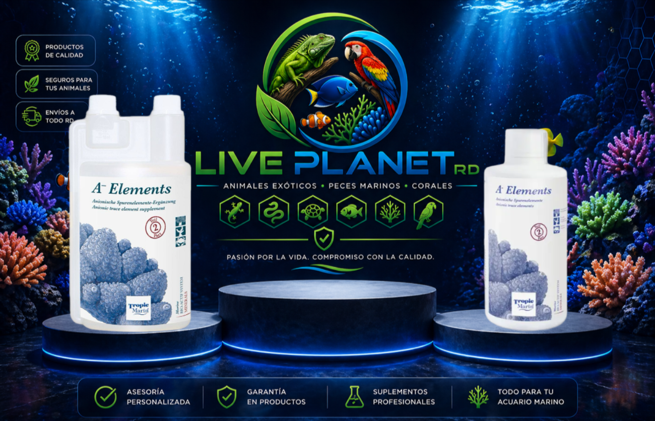 A- Elements - Tropic Marin