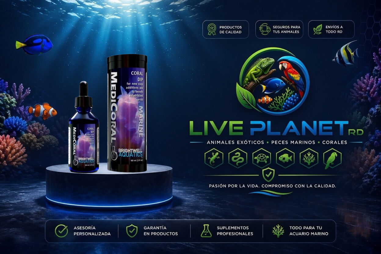 MediCoral Coral Dip - Brightwell Aquatics