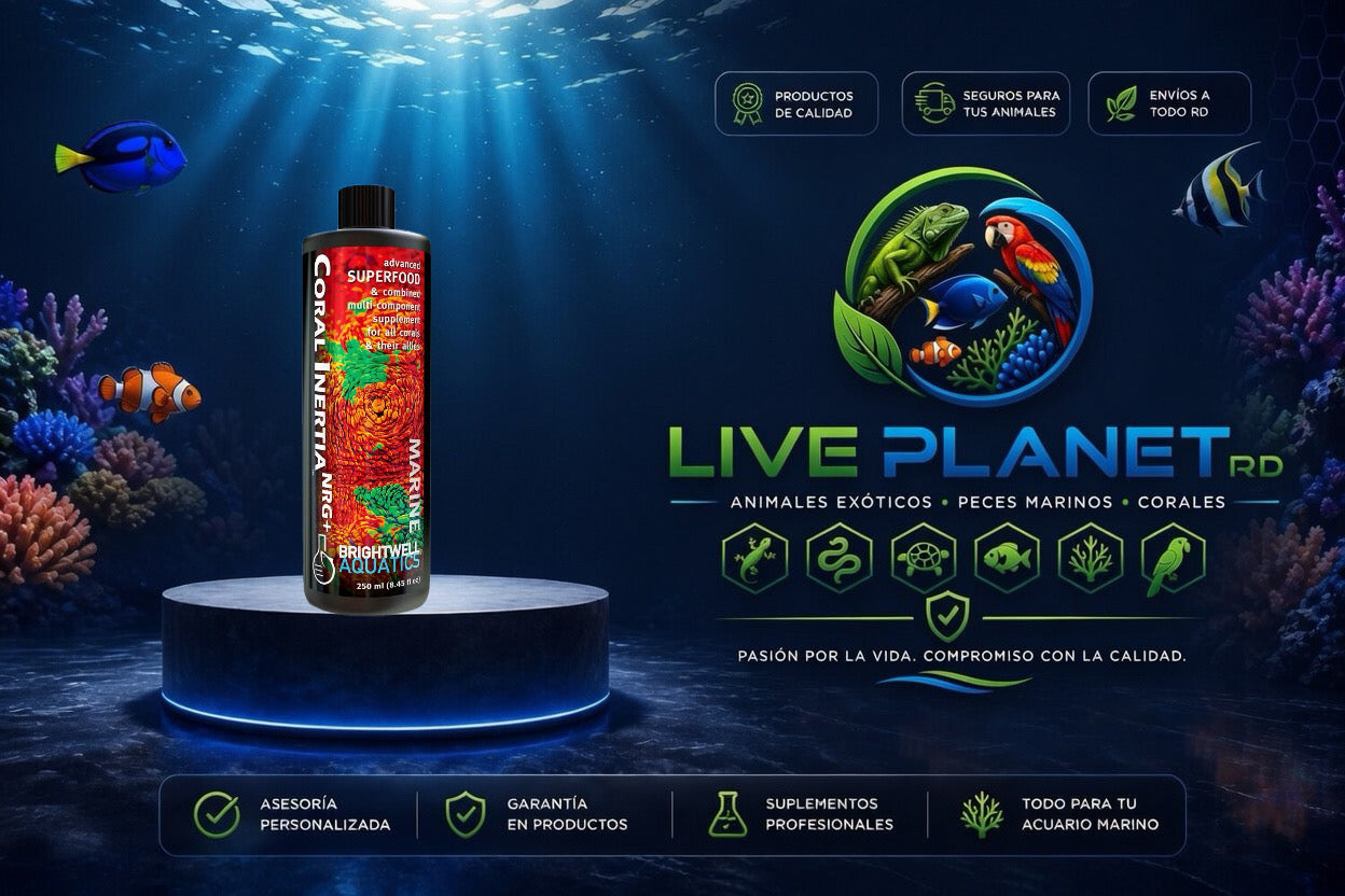 Coral Inertia NRG+ - Brightwell Aquatics