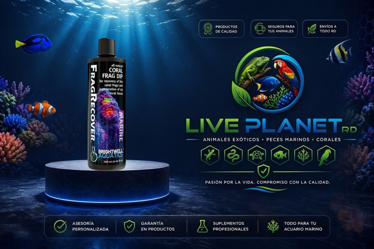 FragRecover Coral Dip - Brightwell Aquatics