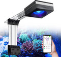 Pantalla LED ,PopBloom Light RL115/ Luz  , (115W) –Full Spectrum Wi-Fi